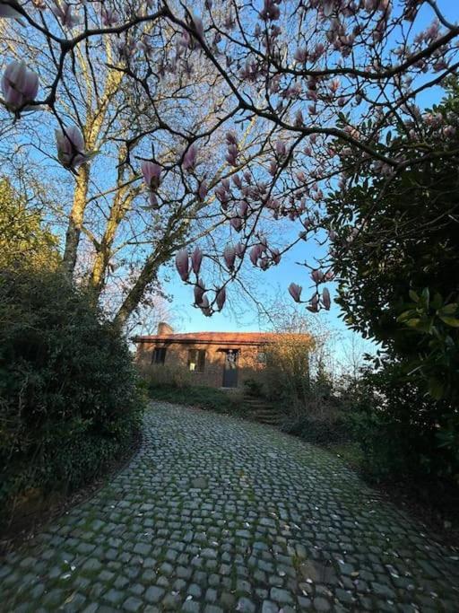 Welkom In Vloesberg N°54 Villa Flobecq Exterior photo