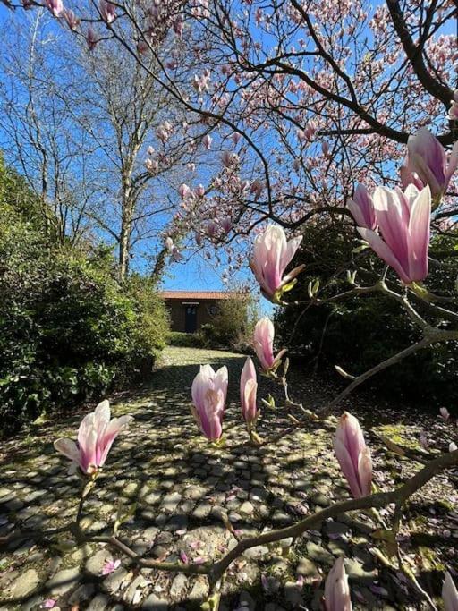 Welkom In Vloesberg N°54 Villa Flobecq Exterior photo